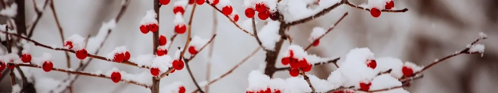 Året på Bredstenen